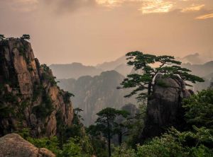 Huangshan scenic area -19